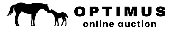 Logo Stal Optimus