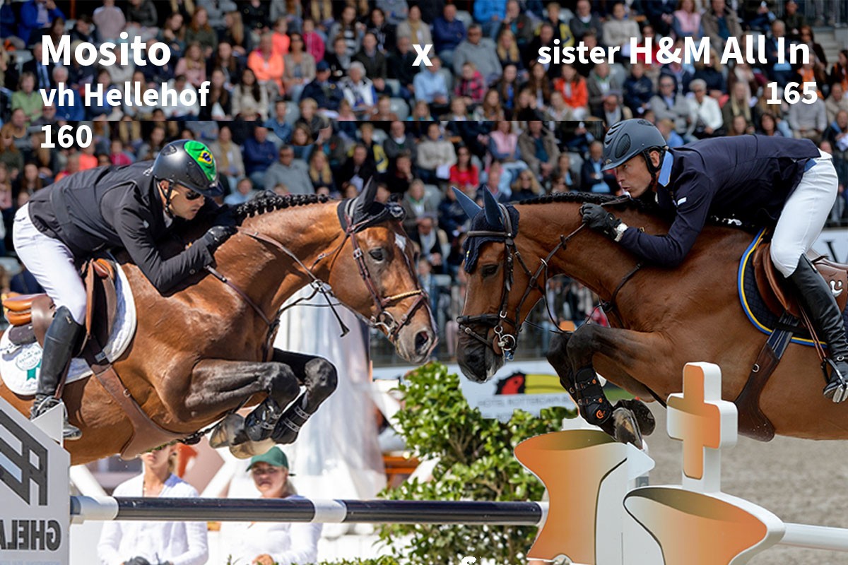 Mosito vh hellehof x sister h&m all in