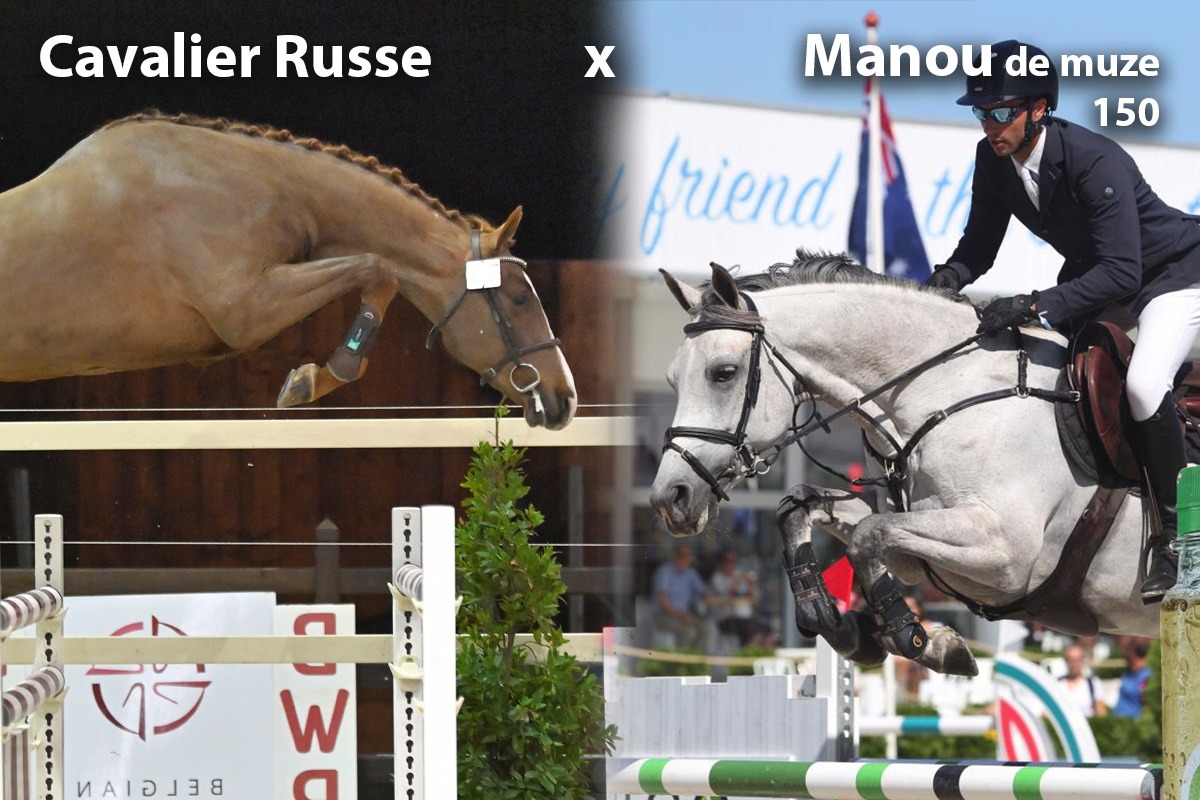 paard-cavalier-russe-x-manou-peter-210027.jpeg